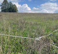 Široké landwirtsch. Grundstücke Kaufen reality Prešov