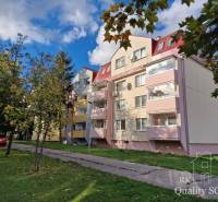 Senec 3-Zimmer-Wohnung Kaufen reality Senec