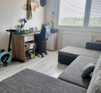 Dunajská Streda 3-Zimmer-Wohnung Kaufen reality Dunajská Streda