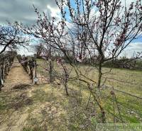 Komárno Garten Kaufen reality Komárno