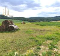 Uzovský Šalgov landwirtsch. Grundstücke Kaufen reality Sabinov