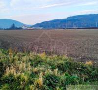 Trenčianske Bohuslavice landwirtsch. Grundstücke Kaufen reality Nové Mesto nad Váhom