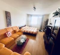 Bratislava - Karlova Ves 1-Zimmer-Wohnung Kaufen reality Bratislava - Karlova Ves