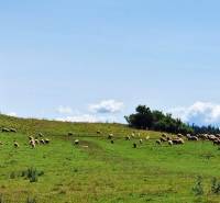 predaj_chalupa_dom_lehota_nizke_tatry_33.jpg