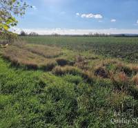 Senec Baugrund Kaufen reality Senec