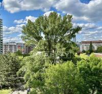 Bratislava - Petržalka 3-Zimmer-Wohnung Kaufen reality Bratislava - Petržalka