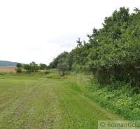 Bardejov landwirtsch. Grundstücke Kaufen reality Bardejov