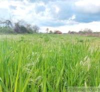 Komárno Garten Kaufen reality Komárno