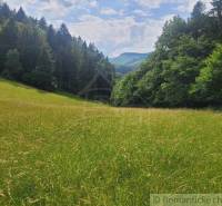 Záriečie landwirtsch. Grundstücke Kaufen reality Púchov