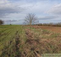 Vranov nad Topľou landwirtsch. Grundstücke Kaufen reality Vranov nad Topľou