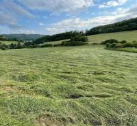 Prešov landwirtsch. Grundstücke Kaufen reality Prešov