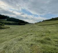 Prešov landwirtsch. Grundstücke Kaufen reality Prešov