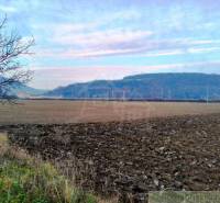 Trenčianske Bohuslavice landwirtsch. Grundstücke Kaufen reality Nové Mesto nad Váhom