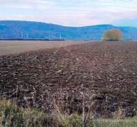 Trenčianske Bohuslavice landwirtsch. Grundstücke Kaufen reality Nové Mesto nad Váhom