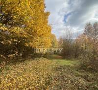 Horná Súča landwirtsch. Grundstücke Kaufen reality Trenčín