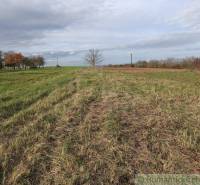 Vranov nad Topľou landwirtsch. Grundstücke Kaufen reality Vranov nad Topľou