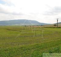 Bardejov landwirtsch. Grundstücke Kaufen reality Bardejov