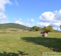 Bardejov landwirtsch. Grundstücke Kaufen reality Bardejov