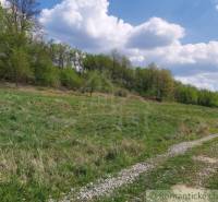 Dolné Kočkovce landwirtsch. Grundstücke Kaufen reality Púchov