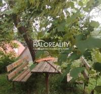 Kráľovce - Krnišov Garten Kaufen reality Krupina