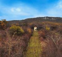 Predaj chatky s vinicou pri obci Hrhov