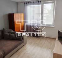 Stará Turá 1-Zimmer-Wohnung Kaufen reality Nové Mesto nad Váhom