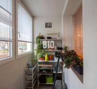 Bratislava - Podunajské Biskupice 3-Zimmer-Wohnung Kaufen reality Bratislava - Podunajské Biskupice