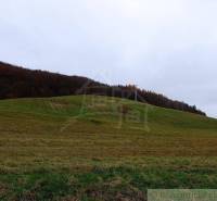 Humenné landwirtsch. Grundstücke Kaufen reality Humenné