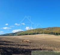 Dohňany landwirtsch. Grundstücke Kaufen reality Púchov