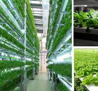 vertical-farming-home.jpg