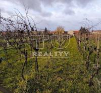 Pezinok Einfamilienhaus Kaufen reality Pezinok