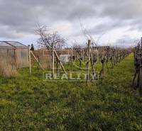 Pezinok Einfamilienhaus Kaufen reality Pezinok