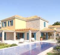 beautiful villa with a pool.jpg