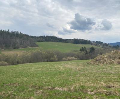 Kaufen Baugrundstück Erholung, Baugrundstück Erholung, Dolný Kubín, Sl