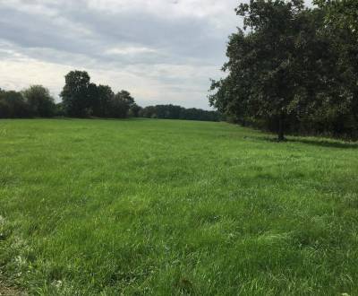 Kaufen landwirtsch. Grundstücke, landwirtsch. Grundstücke, Krupina, Sl