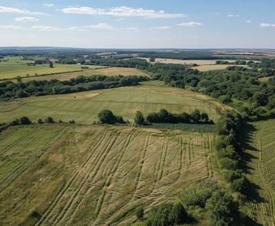 Kaufen landwirtsch. Grundstücke, landwirtsch. Grundstücke, Turzovka, Č