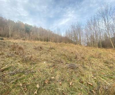 Kaufen Baugrundstück Erholung, Baugrundstück Erholung, Ilava, Slowakei