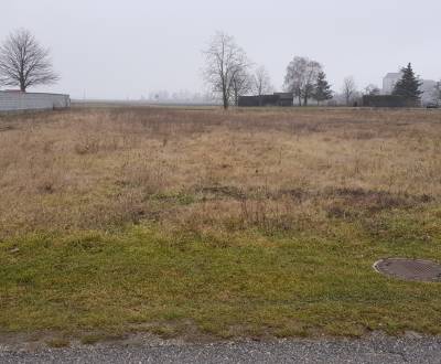 Kaufen Baugrund, Baugrund, Neusiedl am See, Österreich