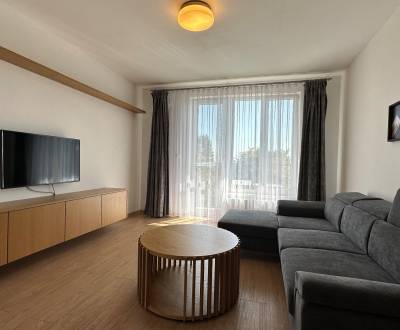 Mieten 2-Zimmer-Wohnung, 2-Zimmer-Wohnung, Cyprichova, Bratislava - Ra