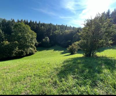 Kaufen Baugrundstück Erholung, Baugrundstück Erholung, Zbora, Púchov, 