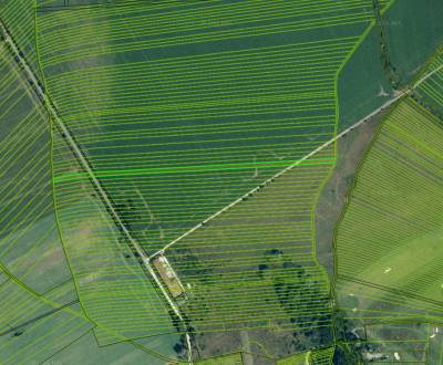 Kaufen landwirtsch. Grundstücke, landwirtsch. Grundstücke, Malacky, Sl