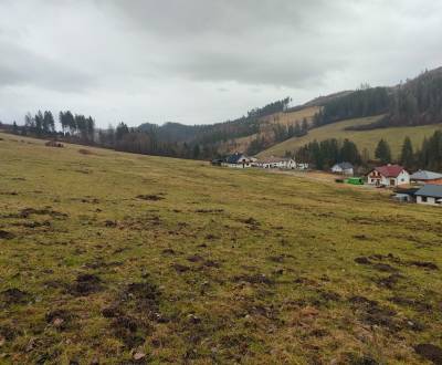 Kaufen Baugrundstück Erholung, Baugrundstück Erholung, Snežnica, Kysuc