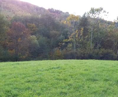 Kaufen Baugrundstück Erholung, Baugrundstück Erholung, Žiar nad Hronom