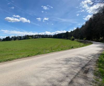 Kaufen landwirtsch. Grundstücke, landwirtsch. Grundstücke, Maša, Spišs