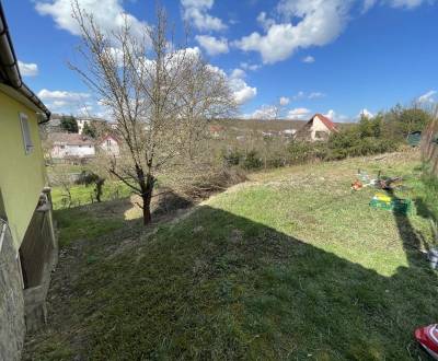 Mieten Garten, Garten, Byster, Košice-okolie, Slowakei