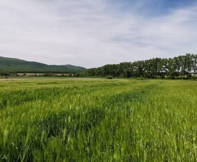 Kaufen Baugrund, Baugrund, Stankovská, Vranov nad Topľou, Slowakei