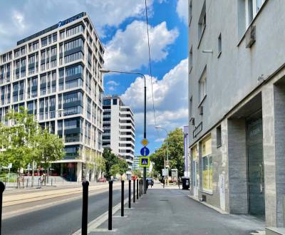 Kaufen 1-Zimmer-Wohnung, 1-Zimmer-Wohnung, Radlinského, Bratislava - S