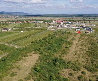 Kaufen landwirtsch. Grundstücke, landwirtsch. Grundstücke, Trnavská ce