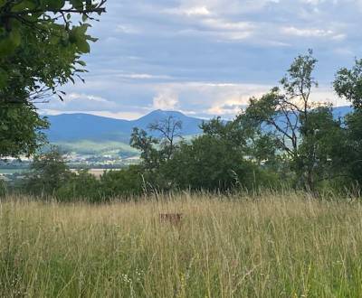 Kaufen Baugrundstück Erholung, Baugrundstück Erholung, Ilava, Slowakei