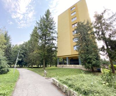Kaufen 2-Zimmer-Wohnung, 2-Zimmer-Wohnung, Volgogradská, Prešov, Slowa